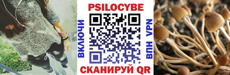купить закладку  Стрежевой  Галлюциногенные грибы Magic Shrooms 