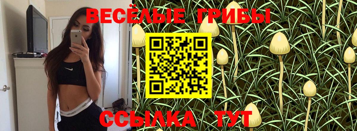 Галлюциногенные грибы Psilocybine cubensis  Вход с VPN  Галлюциногенные грибы MAGIC MUSHROOMS  Стрежевой 